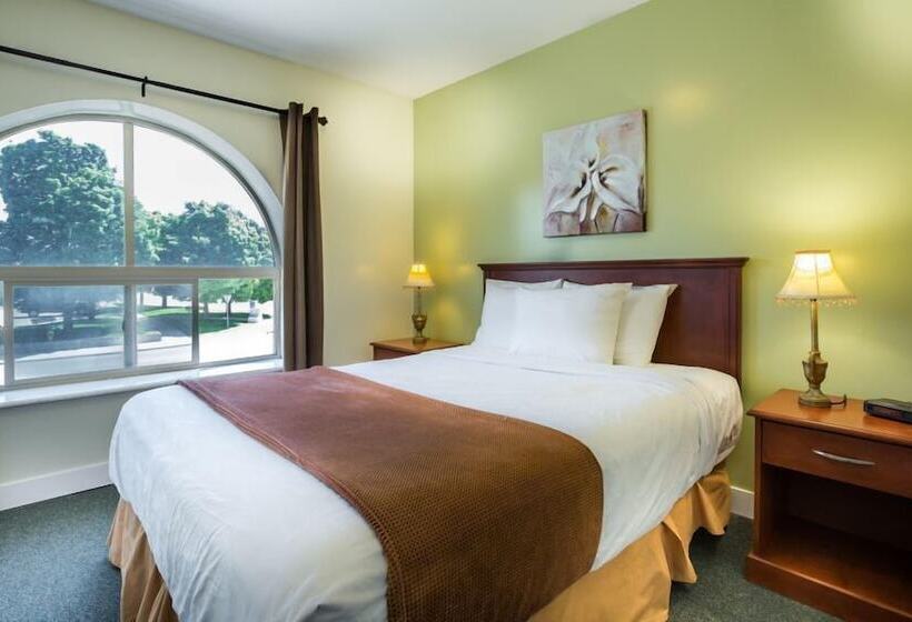 汽车旅馆  Oasis Inn