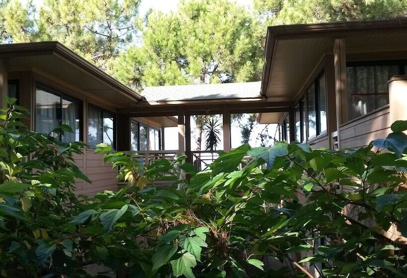 فندق على الطريق Résidence Les Pins