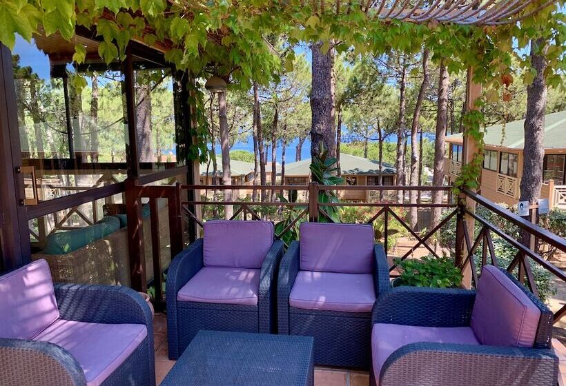 فندق على الطريق Résidence Les Pins