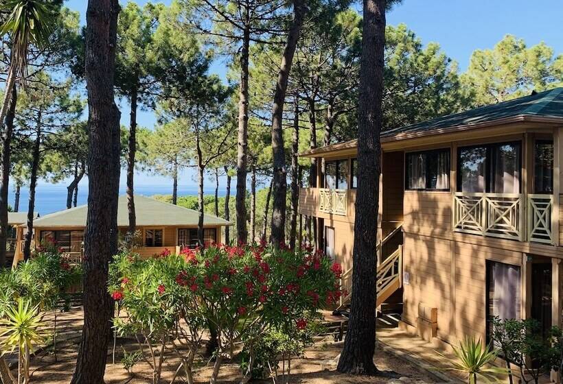 فندق على الطريق Résidence Les Pins