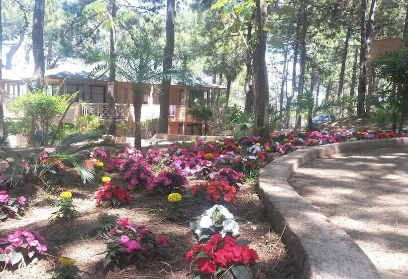 فندق على الطريق Résidence Les Pins