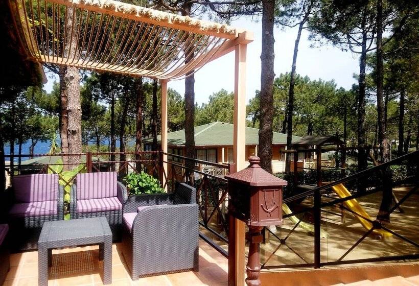 فندق على الطريق Résidence Les Pins