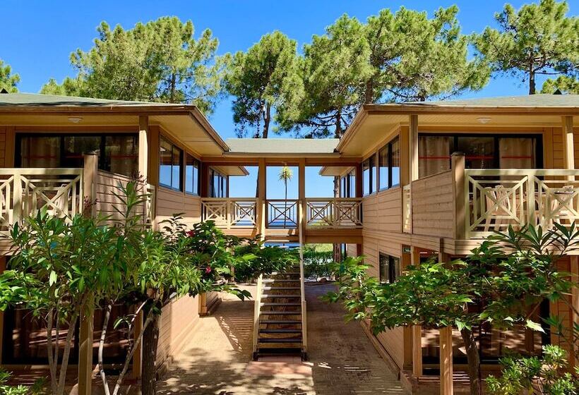 فندق على الطريق Résidence Les Pins