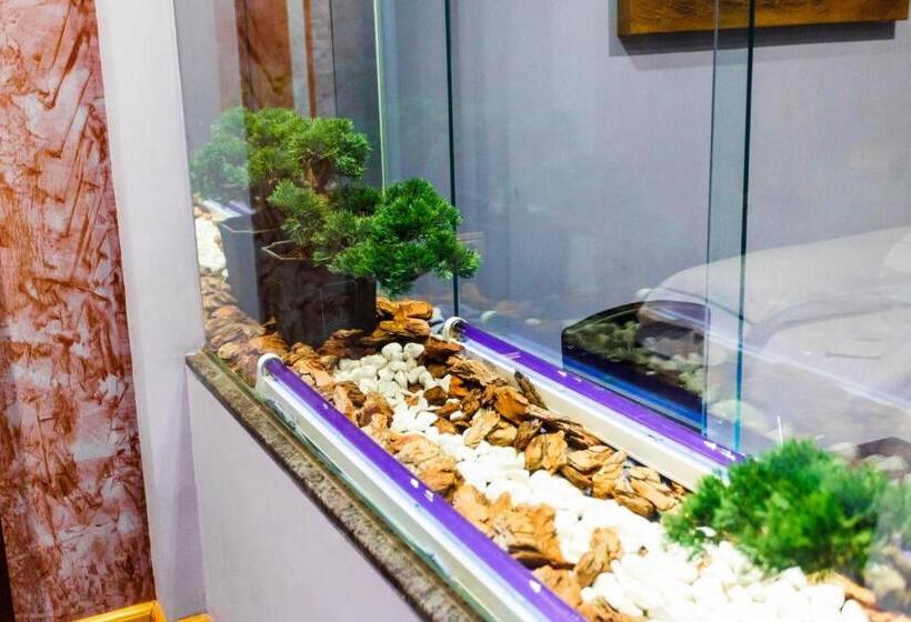 Motel Venus Valladolid