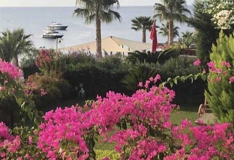 منتجع Aura Residence