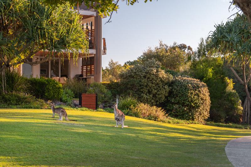 The Sebel Twin Waters