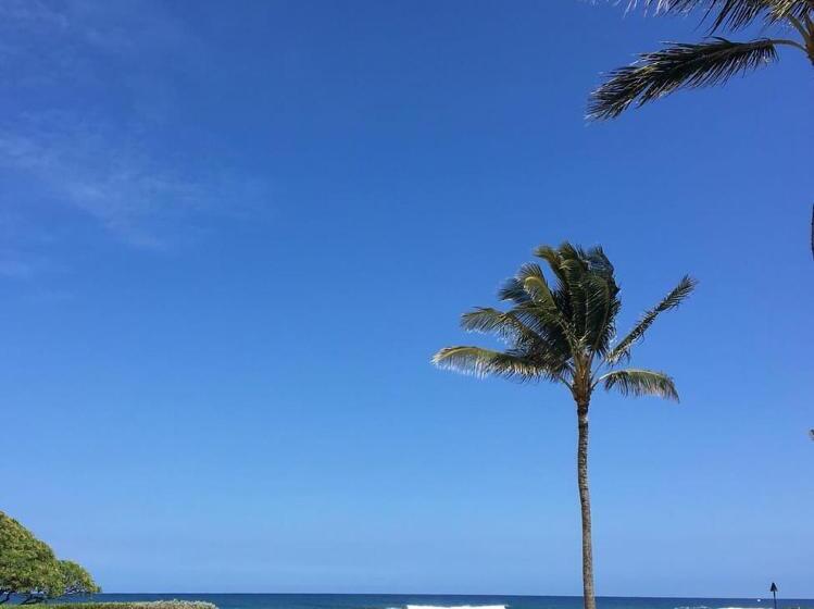 2417 At Oceanfront Resort Lihue Kauai Beach Drive Private Condo