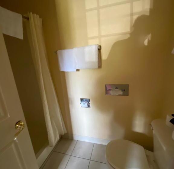 فندق Ayas Blossoms Inn