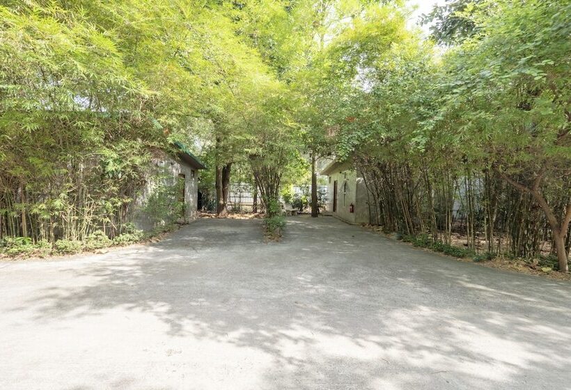 ホテル Black Bamboo Resort By Oyo Rooms