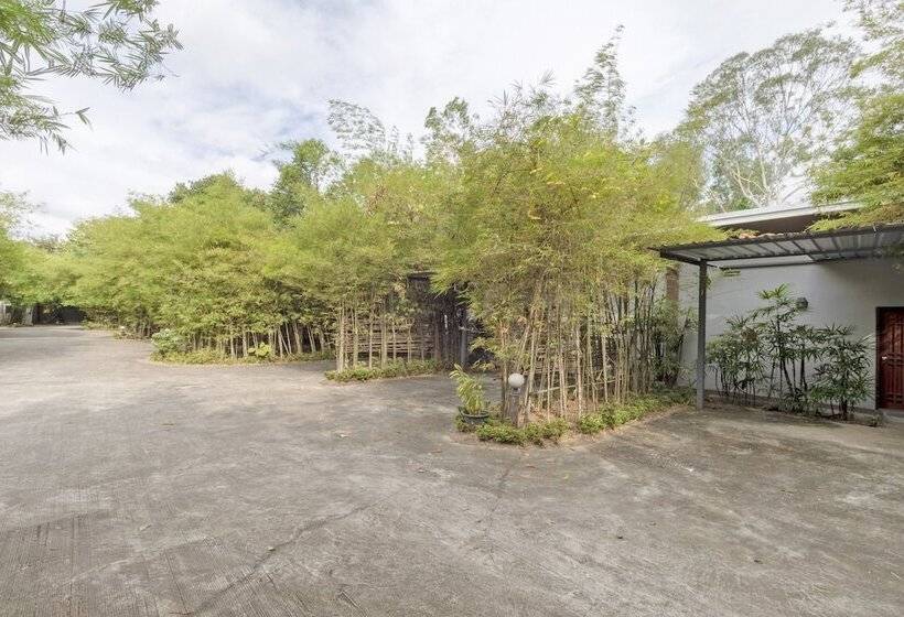 ホテル Black Bamboo Resort By Oyo Rooms