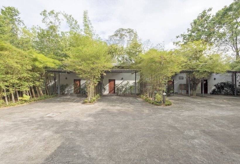 ホテル Black Bamboo Resort By Oyo Rooms