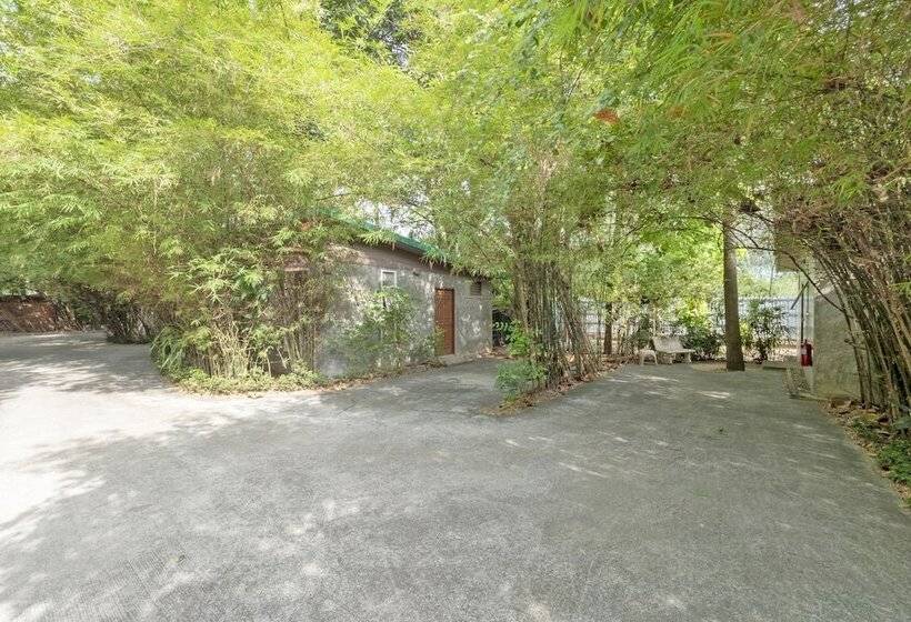 ホテル Black Bamboo Resort By Oyo Rooms