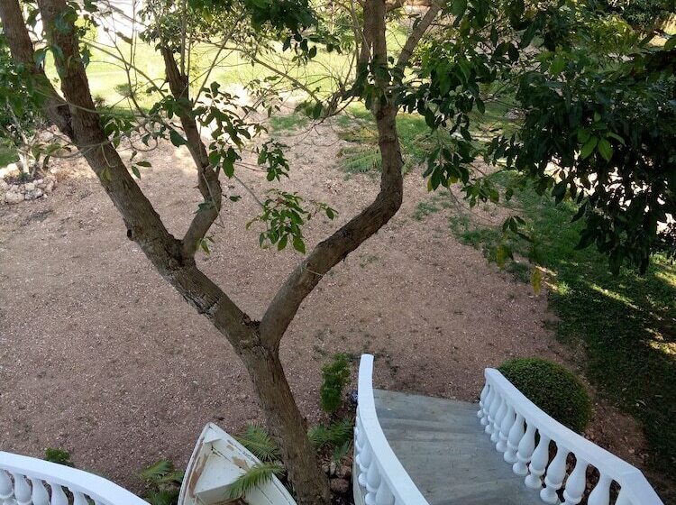 בית מלון כפרי Kiwi's Hidden Resort