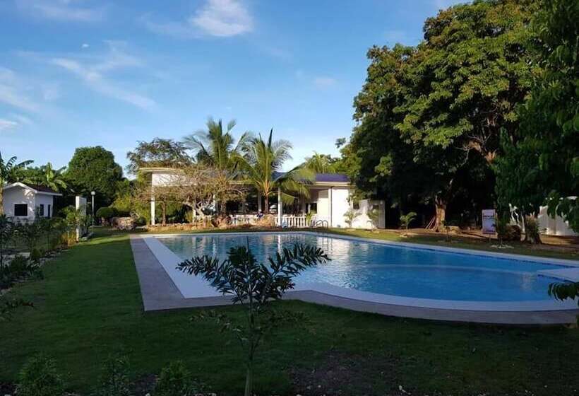 בית מלון כפרי Kiwi's Hidden Resort