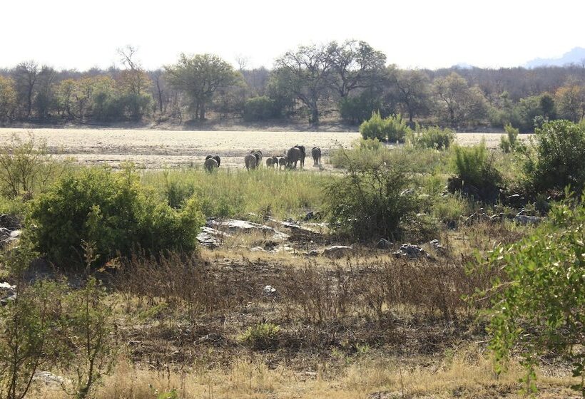 בית מלון כפרי Mthimkhulu Private Game Reserve  Adults Only