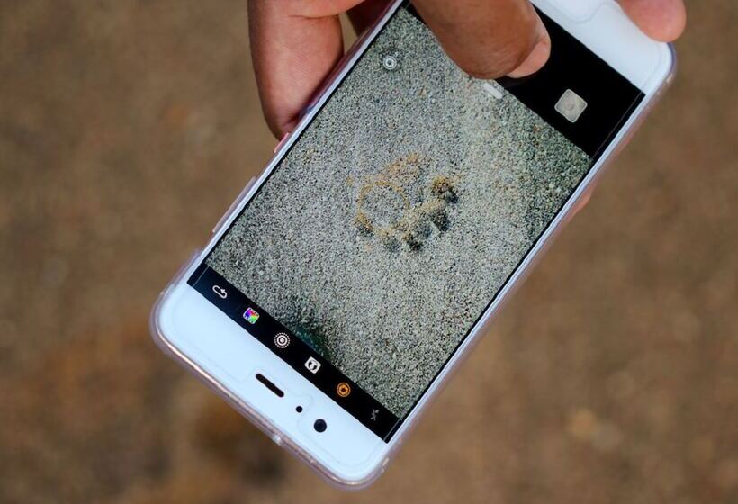 בית מלון כפרי Mthimkhulu Private Game Reserve  Adults Only