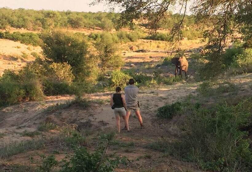 בית מלון כפרי Mthimkhulu Private Game Reserve  Adults Only