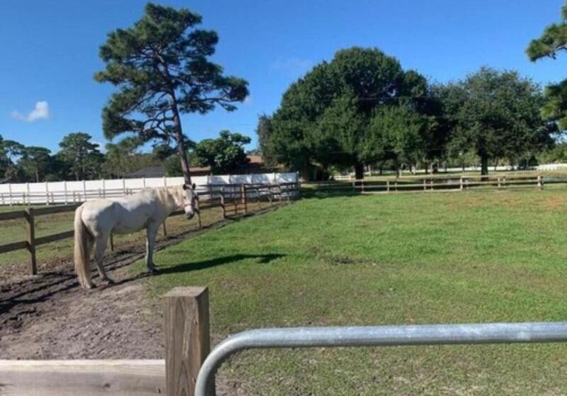 فندق Oyo Family Ranch At Melbourne Fl