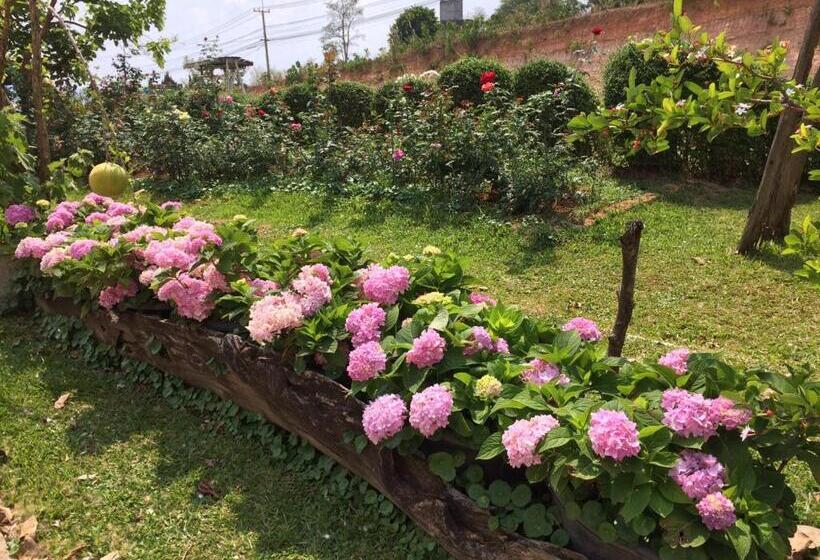 Отель Phurua Bussaba Resort & Spa