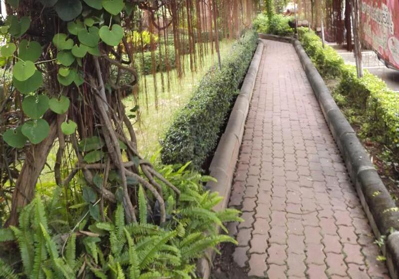 Отель Phurua Bussaba Resort & Spa