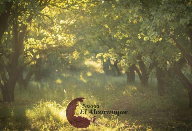 هاستل Posada El Alcornoque