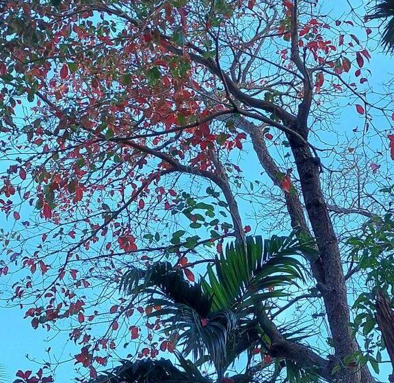 Adhvasaha Beach Spa Resort