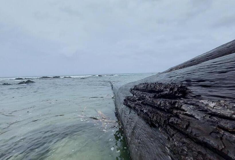 Adhvasaha Beach Spa Resort