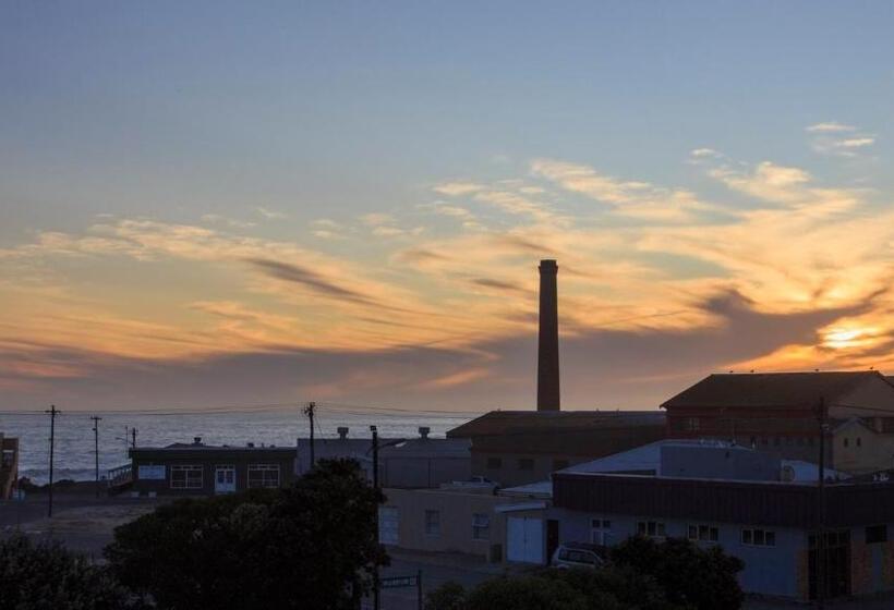 旅馆 Bokkomblommetjie