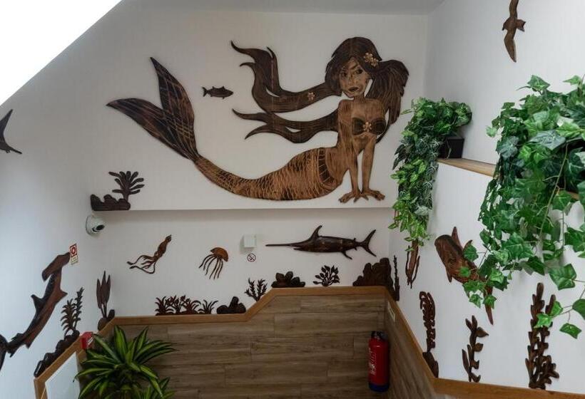 Общежитие Nereida