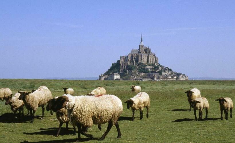 مبيت وإفطار Chambres D Hotes Avec Piscine Aux Agapanthes De Cromel   Mont Saint Michel