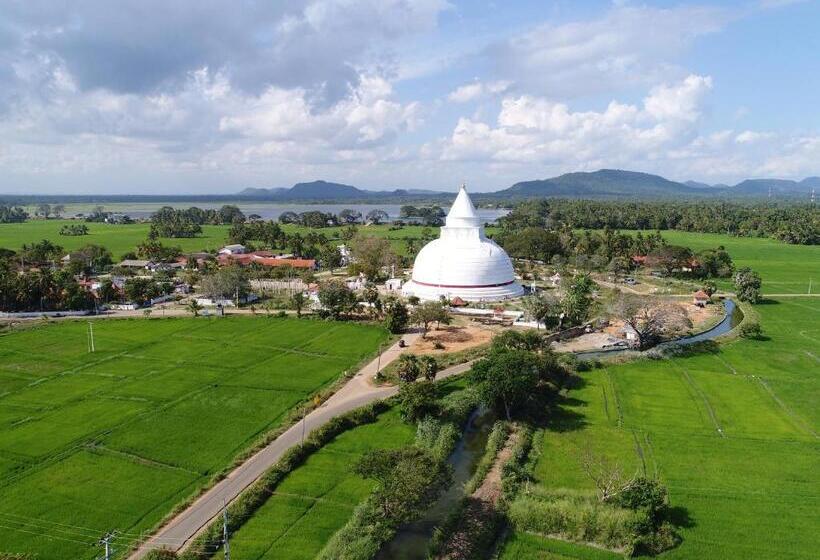 민박 Olu Villa Resort