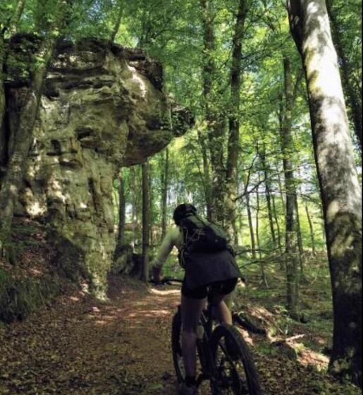 مبيت وإفطار Renée Cense