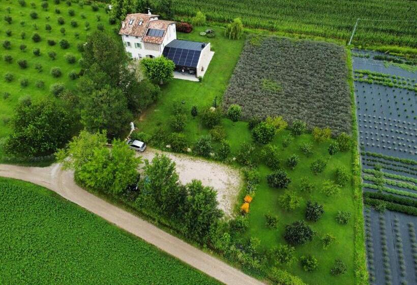 فندق Agriturismo Redó