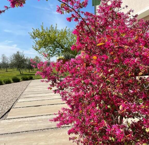 فندق Agriturismo Redó