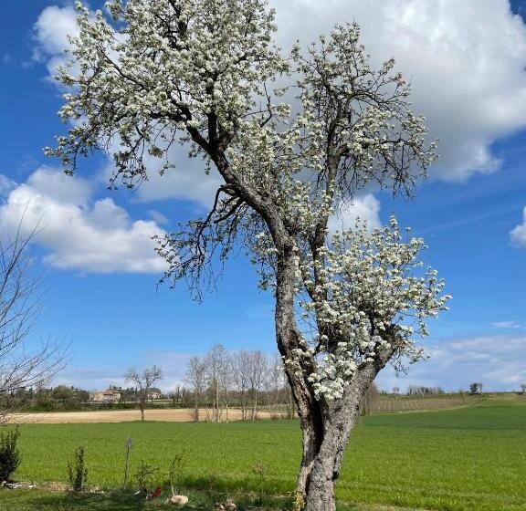 فندق Agriturismo Redó
