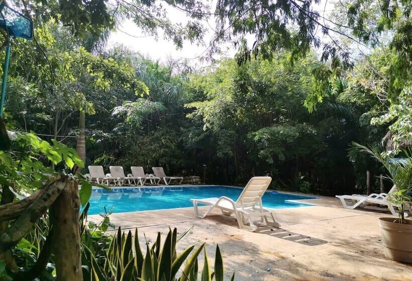 هتل Ecoturismo Yax Ha By Rotamundos