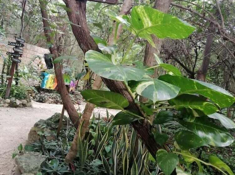 هتل Ecoturismo Yax Ha By Rotamundos