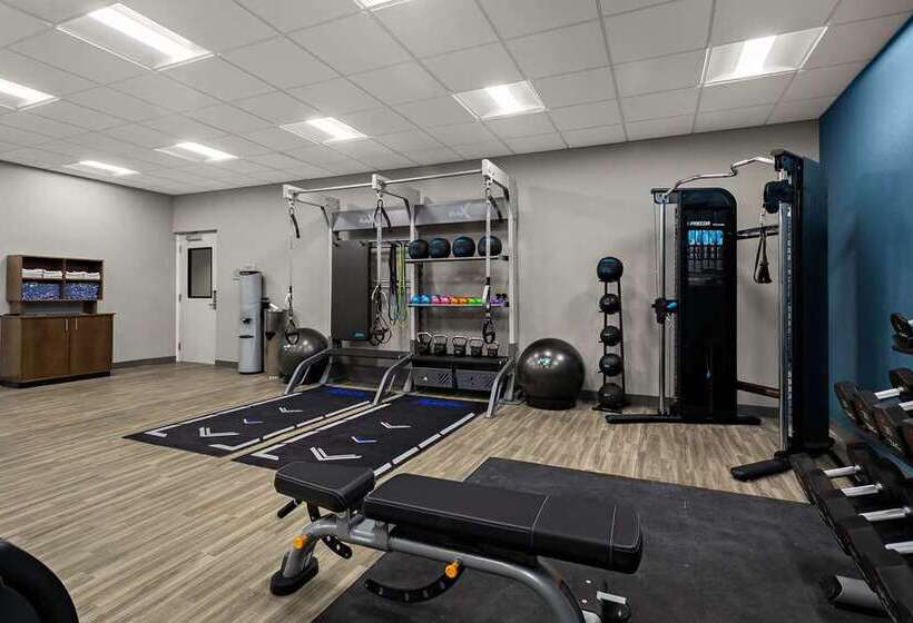 فندق Hampton Inn & Suites Ruskin I75