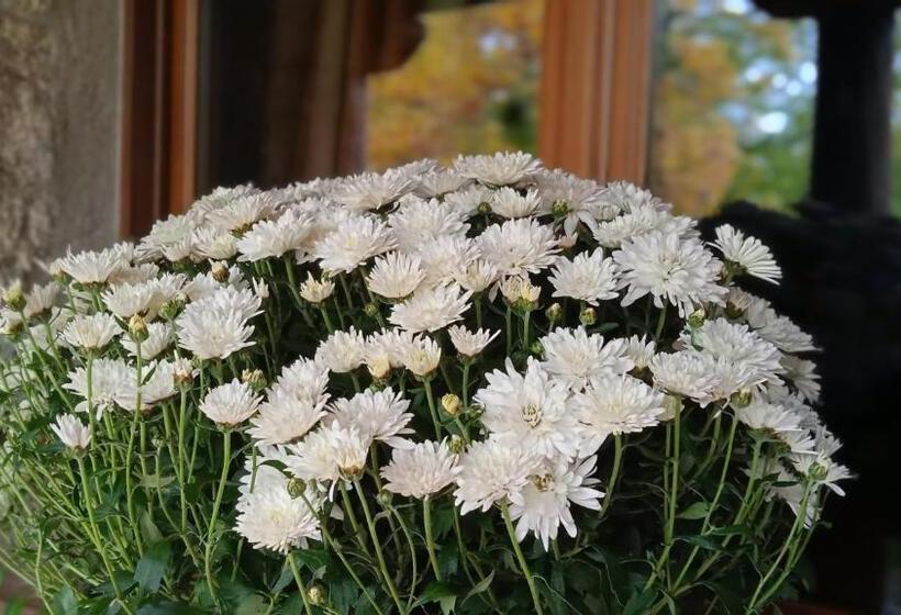 فندق Posada Restaurante Fuenteplateada