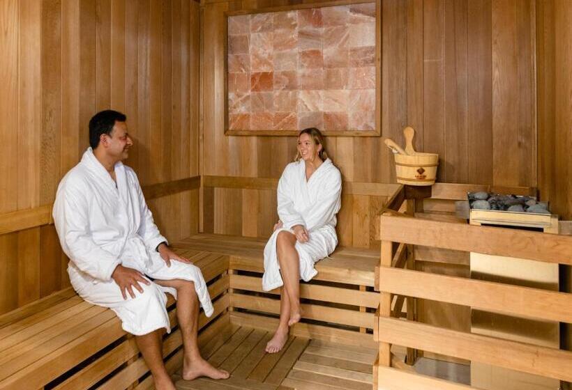 Shashi Hotel Mountain View Palo Alto