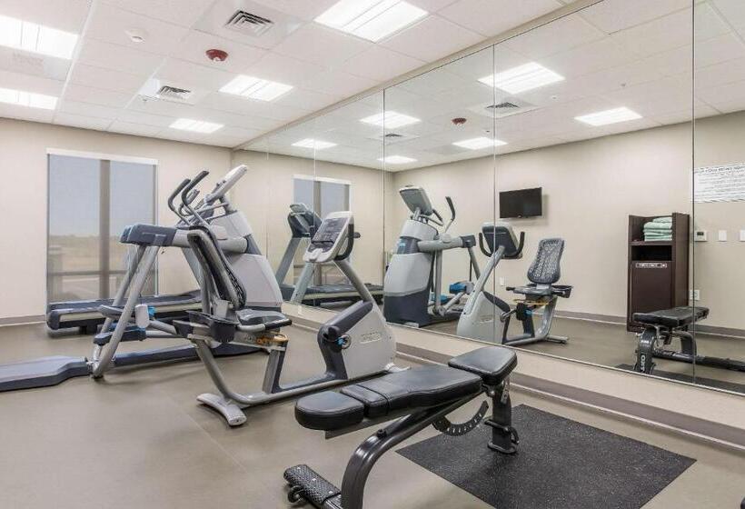 فندق Sleep Inn & Suites Webb City