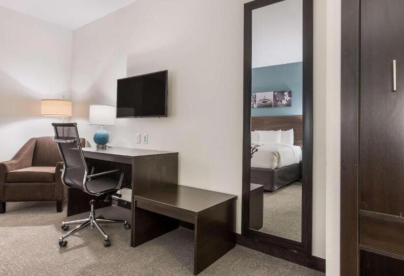 فندق Sleep Inn & Suites Webb City