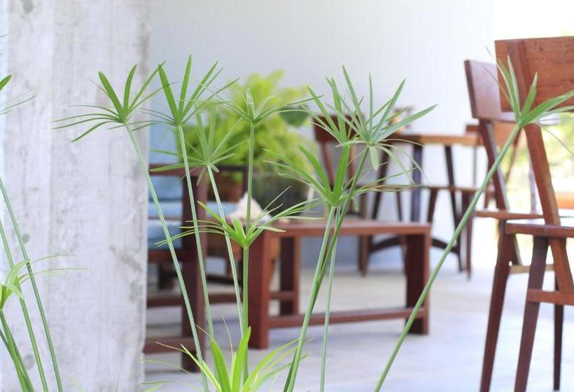 호텔 Vila Das águas