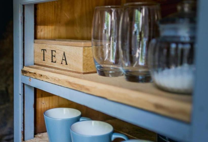 פנסיון 1 Queen Vic