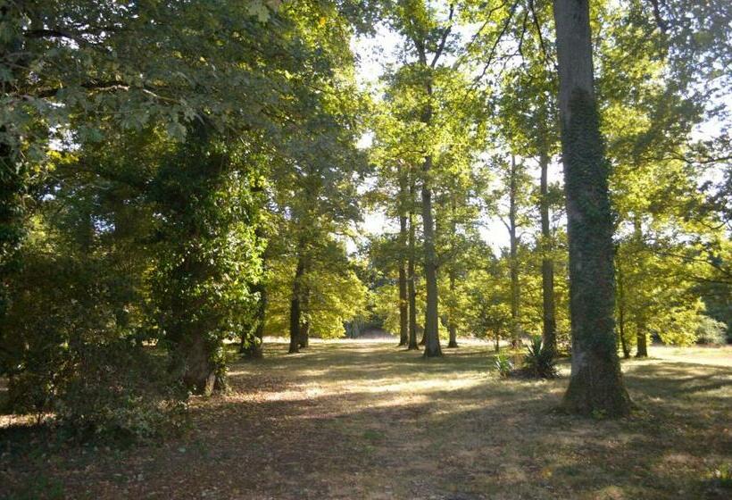 펜션 Room In Guest Room   Maison Lamerique Welcome You To One Of Their Room Dogs Are Also Welcomed