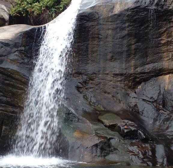 פנסיון Thomasha Homestay & Tuk Tuk Service