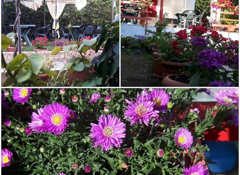 פנסיון Villa Orizzonte