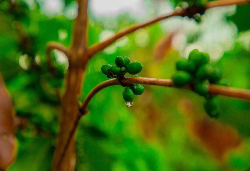 호텔 Dual Mountain View Lodge