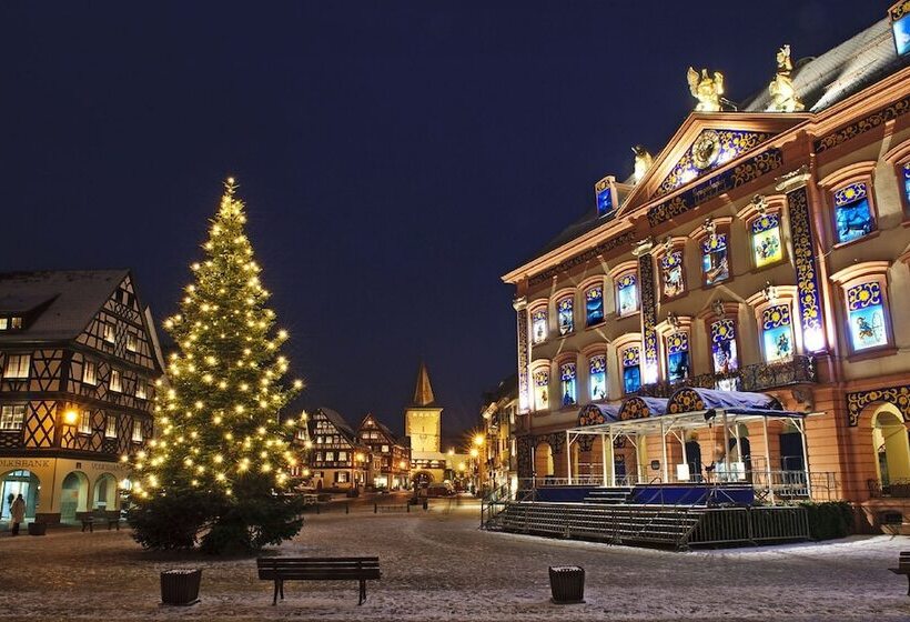 ホテル Holiday Inn Express   Offenburg, An Ihg