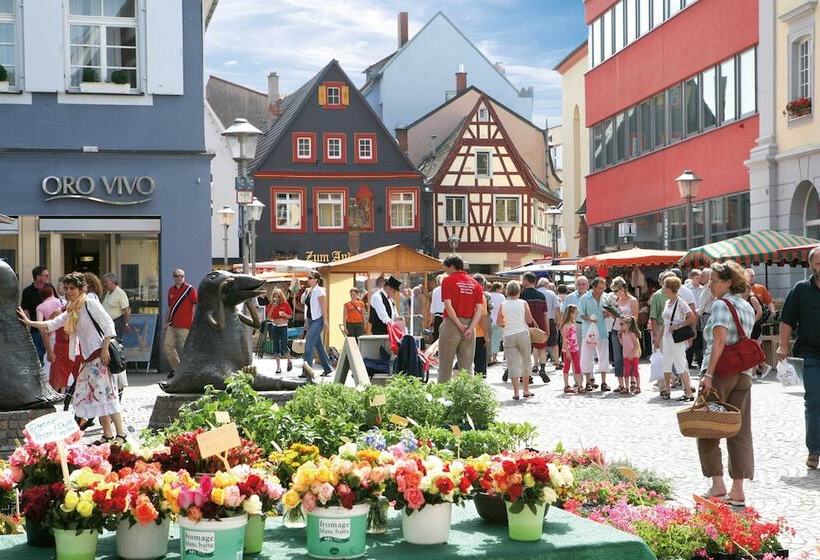 ホテル Holiday Inn Express   Offenburg, An Ihg